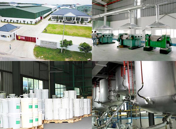 生產(chǎn)實力 生產(chǎn)實力